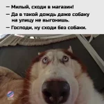 1 e92b99f0fc16744c0b0448e42bc1fa6b.webp