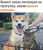 a65543368fa7ee0a4d01ea1183e3b603 (1).jpg