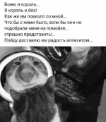 1763567722914.webp 1763567722914.webp