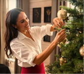 Screenshot 2025-11-20 at 12-21-46 Сара Вайн о трейлере праздничного выпуска шоу С любовью Мега...png