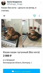 photo_3235@10-12-2024_20-00-16 (1).jpg