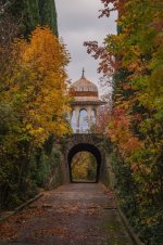 Лив.jpg Лив.jpg