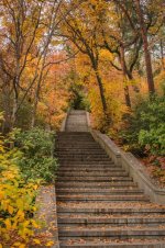 Лив 1.jpg Лив 1.jpg