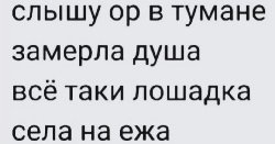 scale_1200 (676).jpg