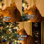 photo_599@20-12-2024_17-08-06 (1).jpg