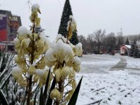 Ялта снег 3.jpg