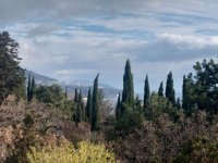 Ливадия 12 3.jpg Ливадия 12 3.jpg