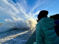 IMG_1001.jpeg IMG_1001.jpeg