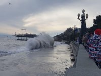 IMG_1002.jpeg IMG_1002.jpeg