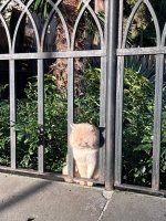 IMG_1014.jpeg IMG_1014.jpeg