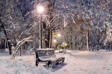 winter-evening-park-snowcovered-benches-bright-lights-illuminate-white-snow-new-year-s-eve-wit...jpg