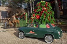 Елка авто.jpg