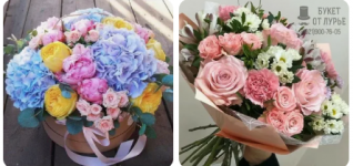 2026-01-13_20-50-23.png 2026-01-13_20-50-23.png