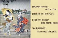 1768336185223.jpeg 1768336185223.jpeg