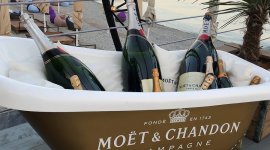 Маркиза 5.jpg