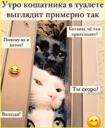 image - 2026-01-22T170126.529.png