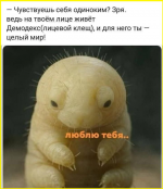 image - 2026-01-25T223128.697.png