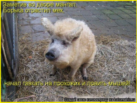 image - 2026-02-01T200516.363.png