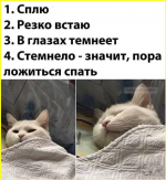 image - 2026-01-14T134329.743.png