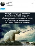 медведь веня.jpg