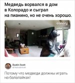 медведь балалайка.jpg