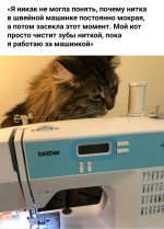 IMG_20191231_193249.jpg