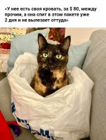 IMG_20191231_193116.jpg