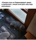 IMG_20191231_193202.jpg