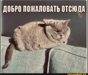 IMG_20191231_193011.jpg
