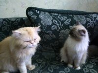 image (26).jpg