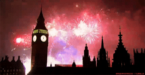 img_9870.gif