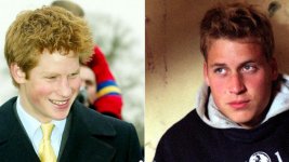 set_split_prince_william_prince_harry_110408_sbarbour_1701112_pool_1311291.jpg