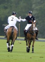 britains-prince-william-prince-harry-shake-hands-after-playing-polo-against-one-another-during.jpg