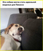 image - 2026-03-09T100727.068.png