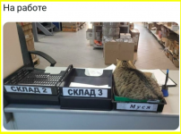 image - 2026-03-07T191717.381.png