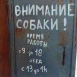 73564559_original.jpg
