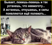 image (2493).png