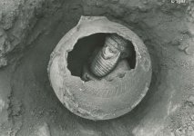 scale_1200 (12).jpeg