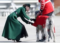 gettyimages-2267012694-612x612.jpg