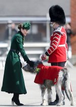 gettyimages-2267012864-612x612.jpg