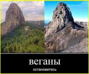 image - 2026-03-25T093117.223.png