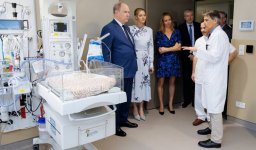 princess-charlene-erdem-floral-dress-3.jpg