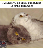 image - 2026-03-29T085316.947.png