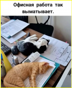 image - 2026-03-29T200105.264.png