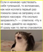 image - 2026-03-29T084535.453.png