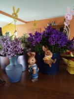 IMG_20260404_094136.jpg