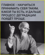 image (1477).png