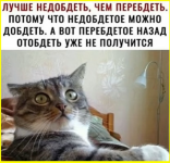 image (1549).png