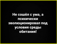 image (1540).png