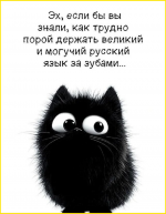 image (1636).png